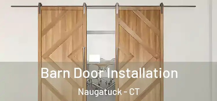  Barn Door Installation Naugatuck - CT