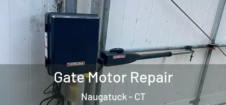 Gate Motor Repair Naugatuck - CT