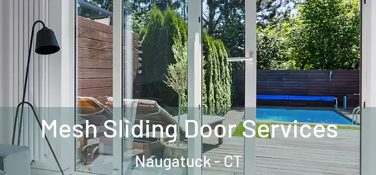 Mesh Sliding Door Services Naugatuck - CT
