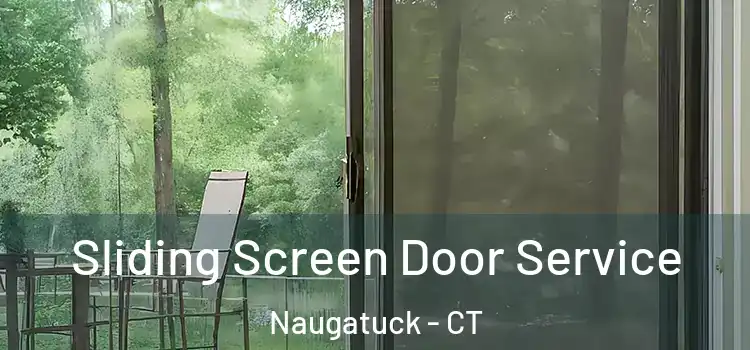 Sliding Screen Door Service Naugatuck - CT
